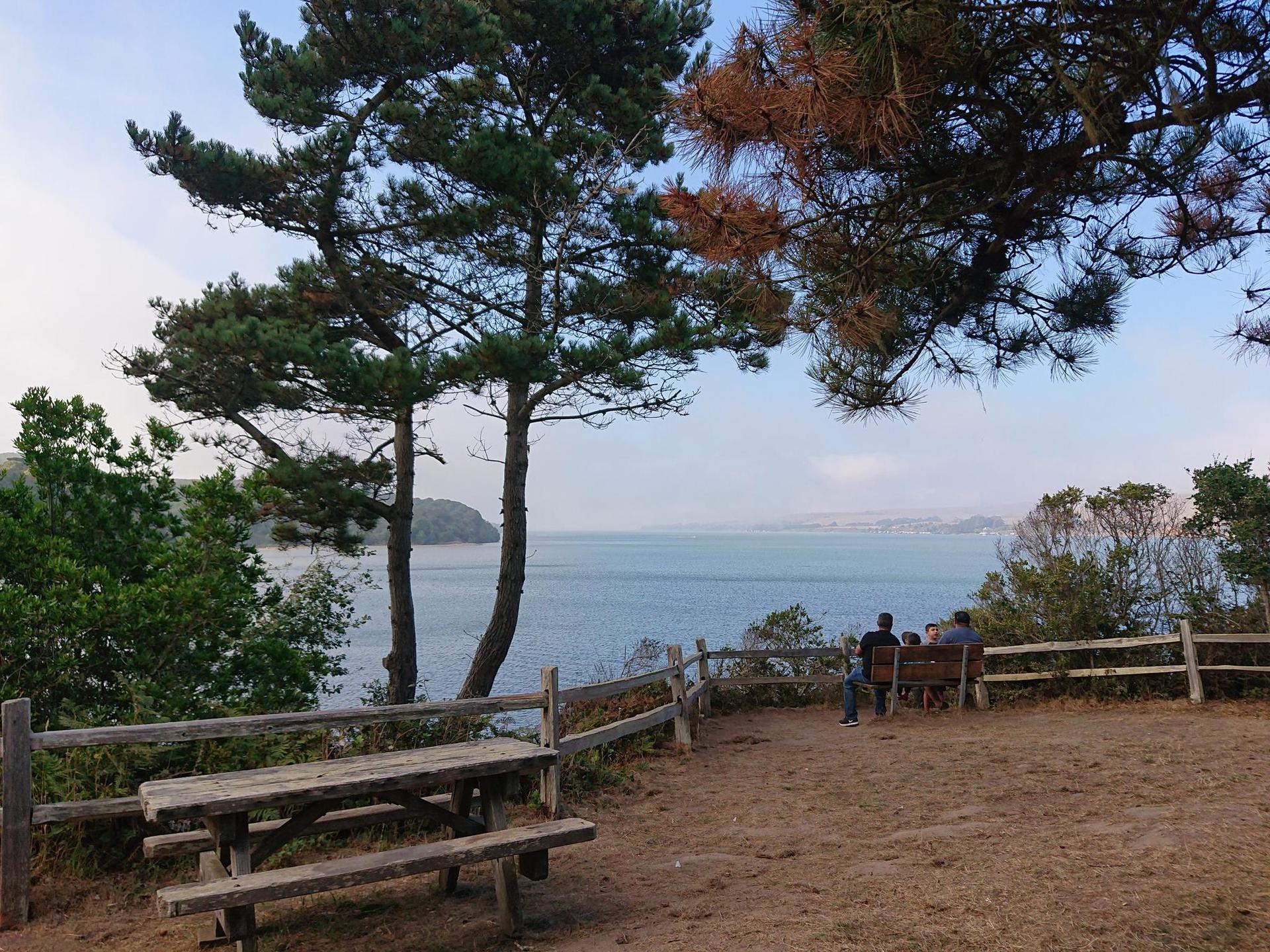 People relax on a bench overlooking calm water, framed by trees and a picnic table.