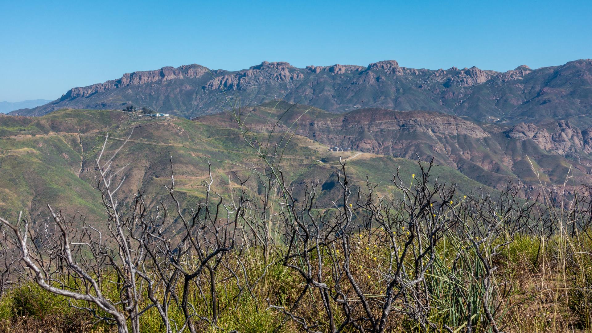 Rugged mountains under a clear sky, with dry brush in the foreground.