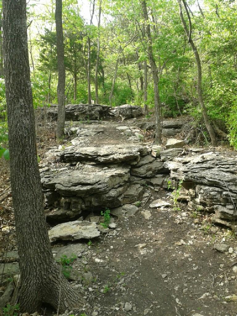 Uphill dirt path winding through a sunlit, rocky forest with green trees.