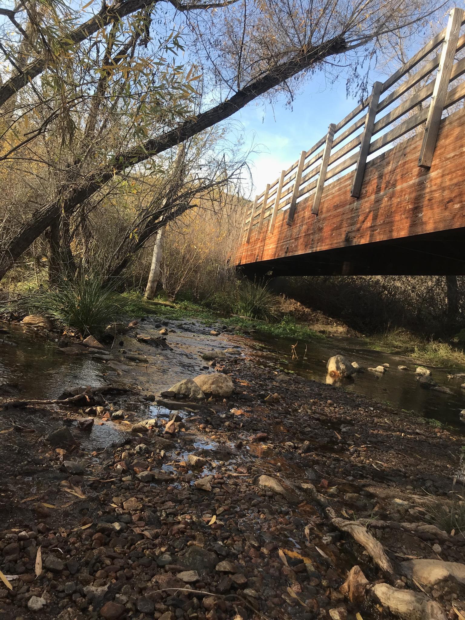 A wooden bridge spans a rocky stream bed with trees under a clear sky.