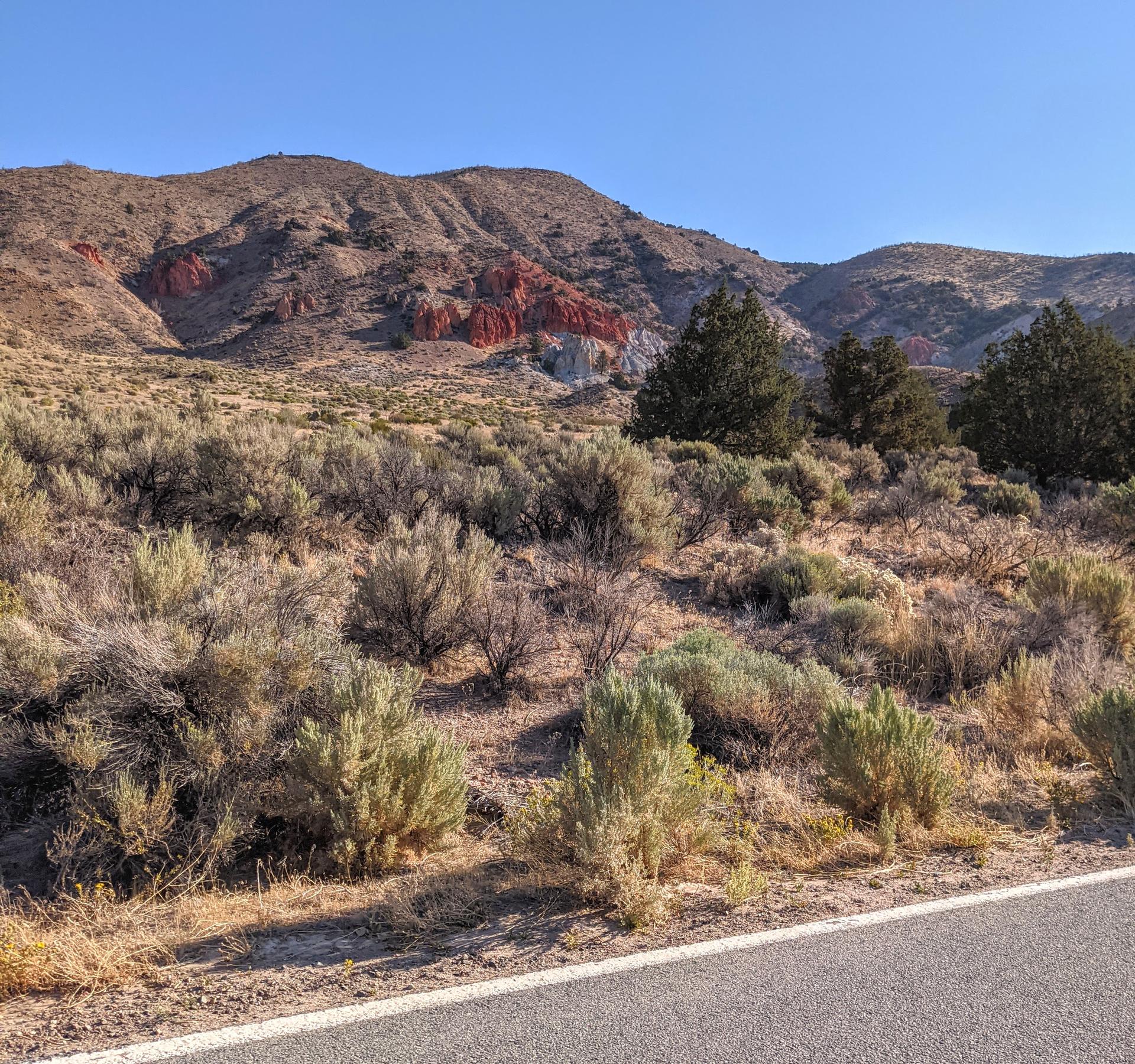 Arid landscape with mountains, colorful rock formations, and desert shrubs under a clear sky.