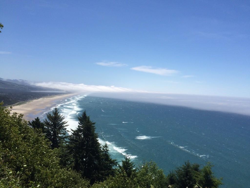 Expansive coastal view with a long beach, ocean, and distant fog bank.