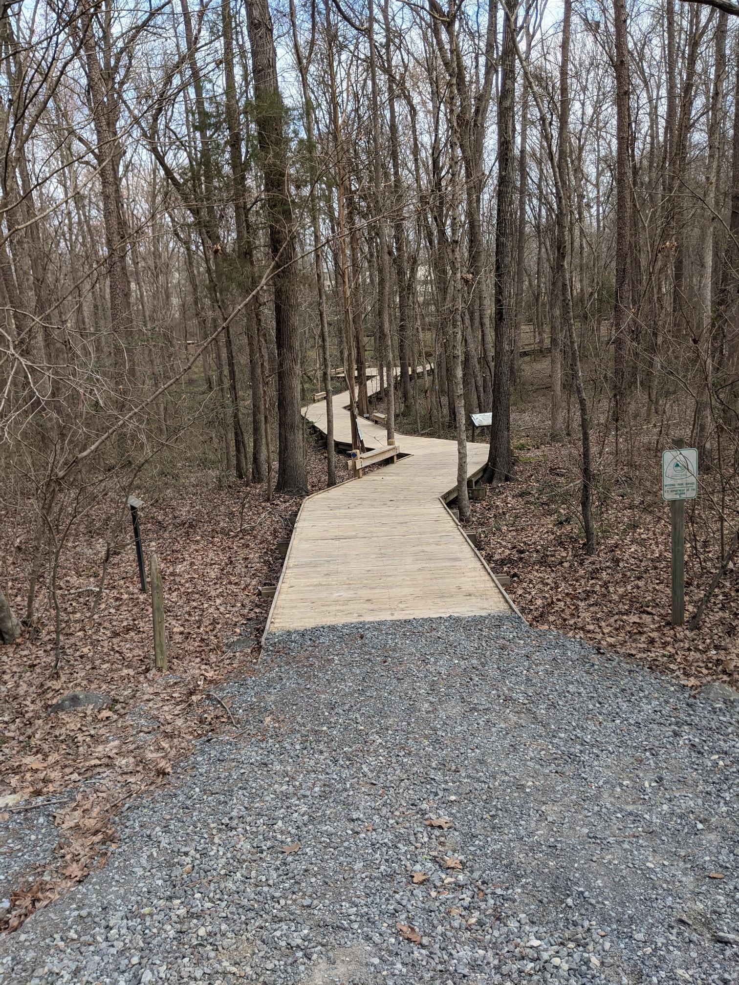 Empty wooden boardwalk winding through a bare forest on an overcast day.