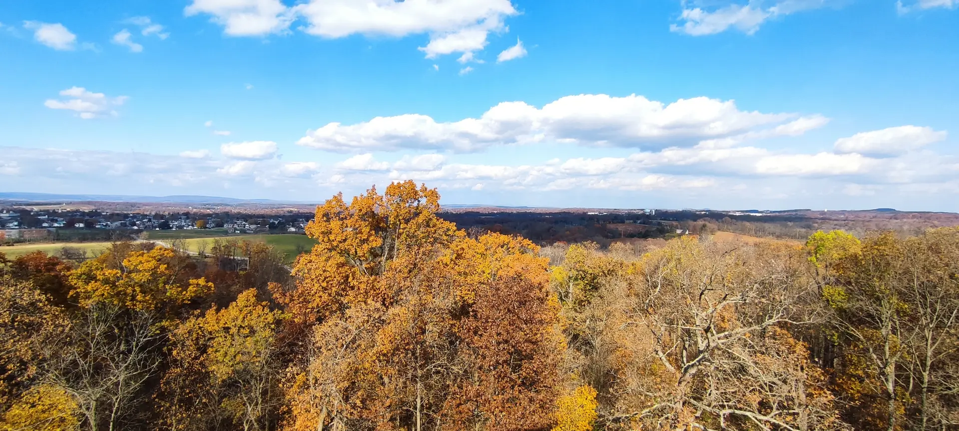 Aerial view of vibrant autumn trees under a bright, cloudy sky.