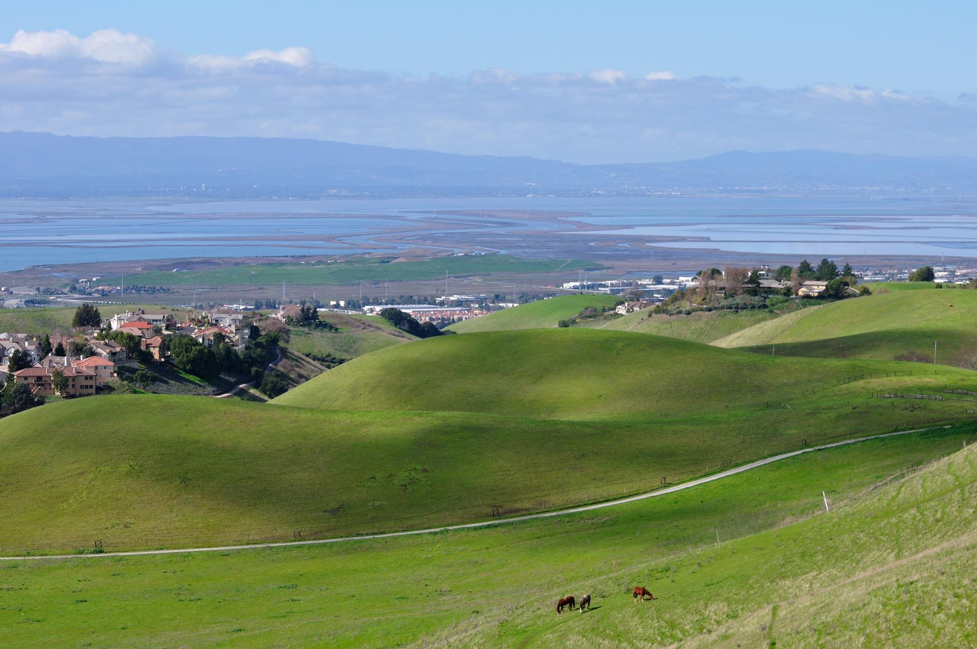 Rolling green hills overlook a distant city and large body of water.
