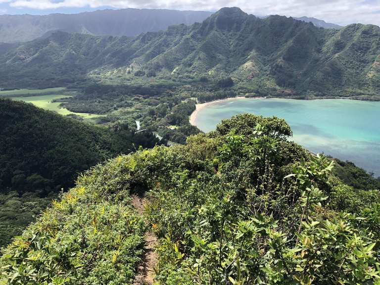 crouching-lion-trail-kaaawa-honolulu-county-course-pied