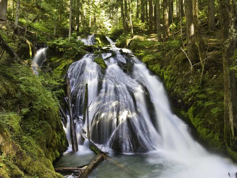 Little Zigzag Falls Trail — Mt. Hood National Forest Hou je van ...