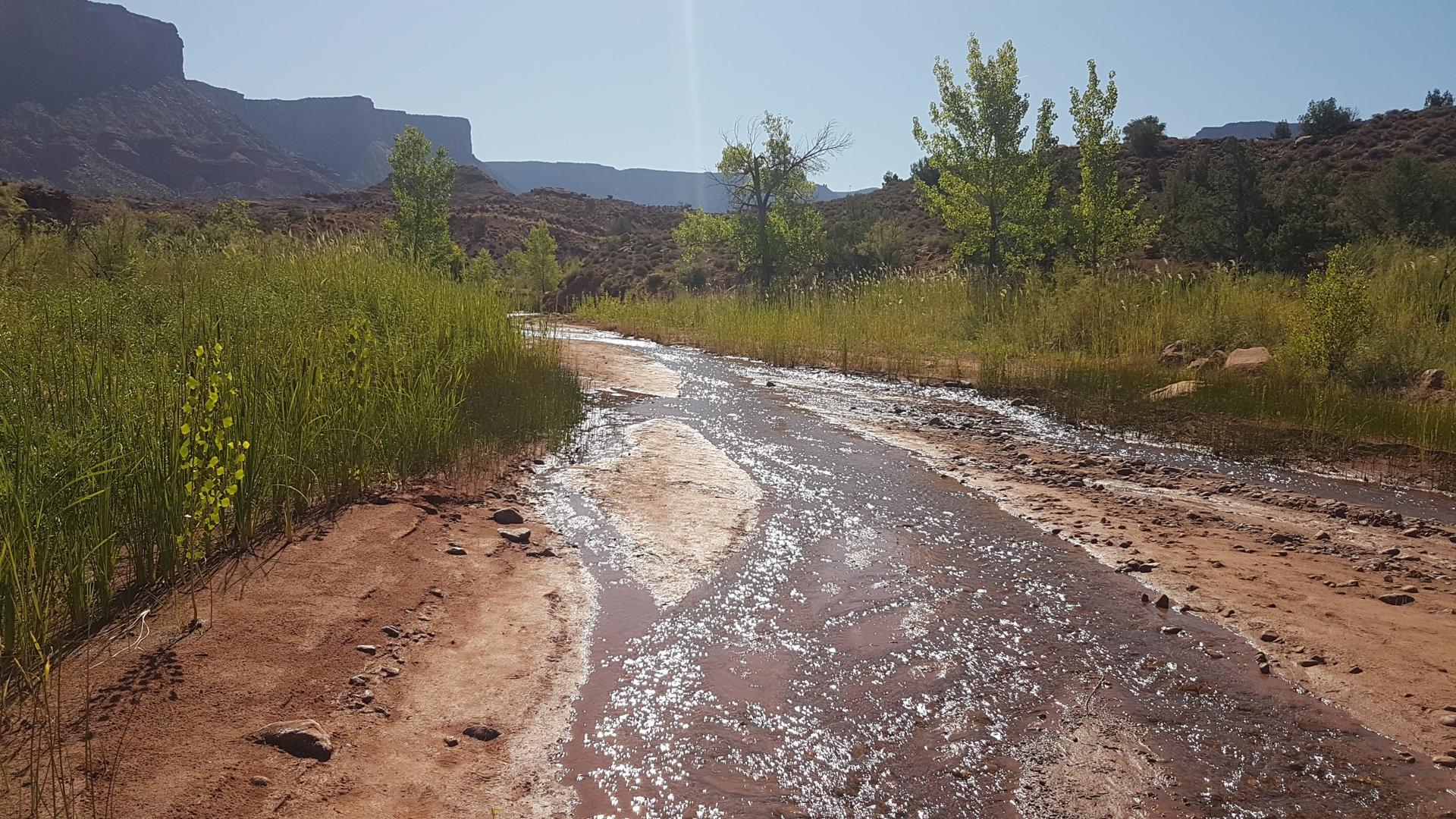 Muddy stream flowing through green grass and red dirt under bright sun.