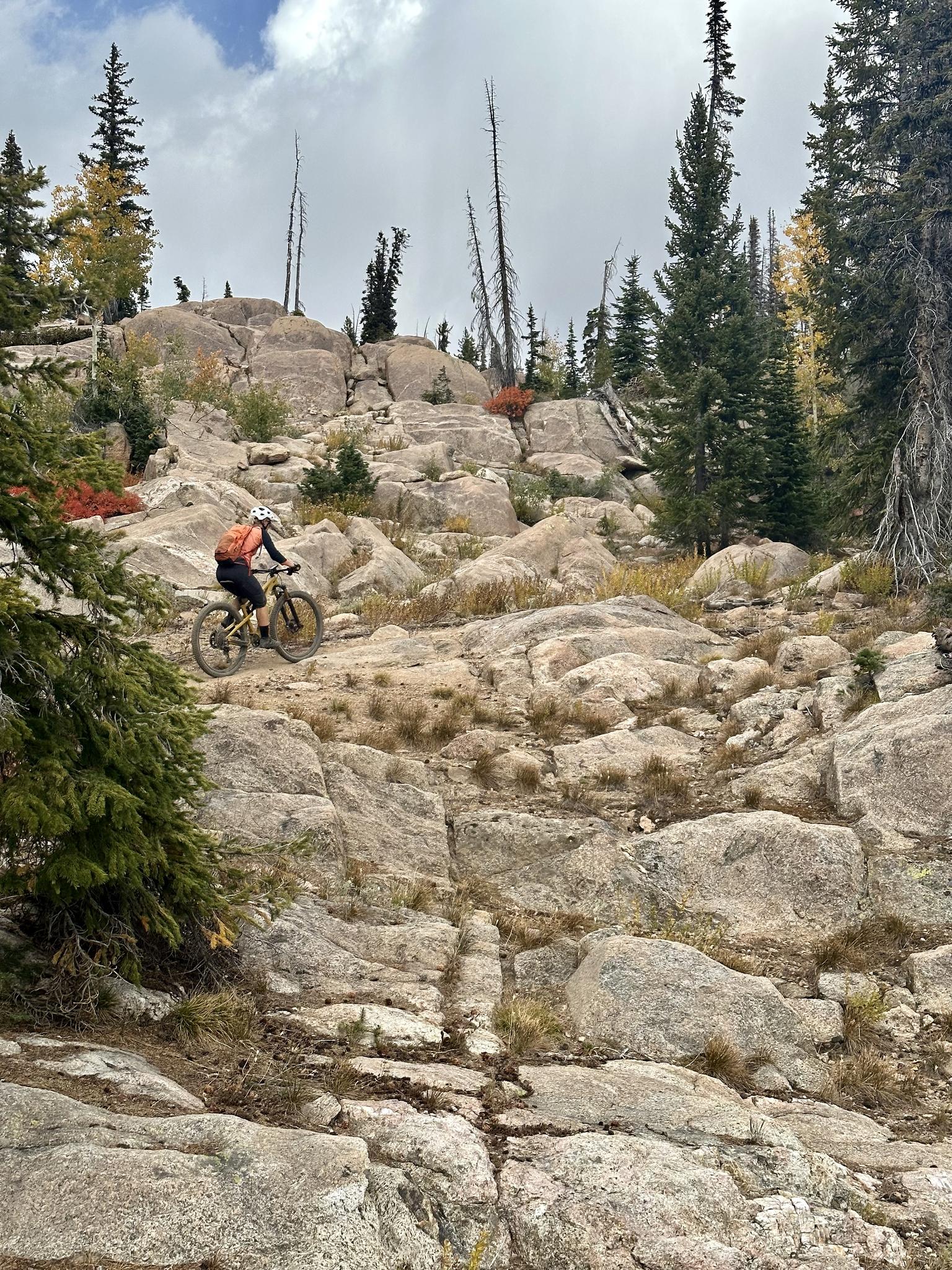 Mountain biker ascends a steep, rocky trail under an overcast sky.