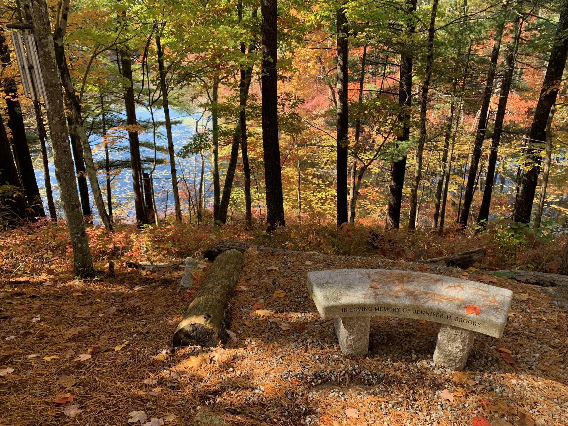 A stone bench and log in a sunlit autumn forest overlooking blue water.