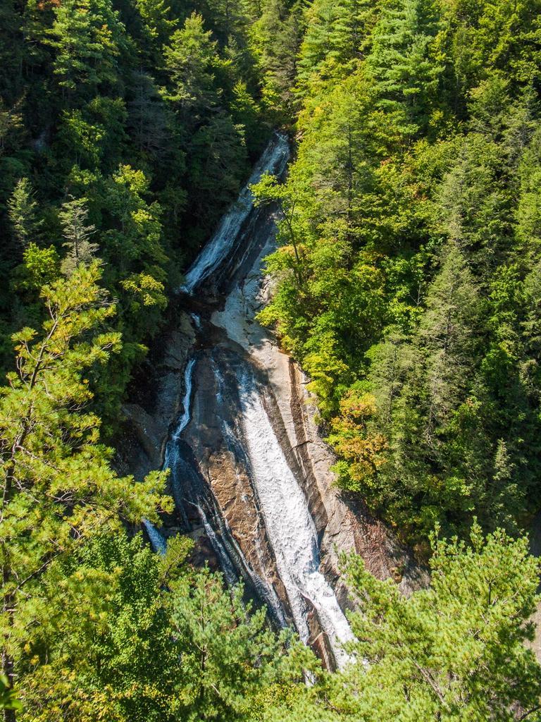 Waterfall cascades down a rocky slope through a dense, sunlit green forest.