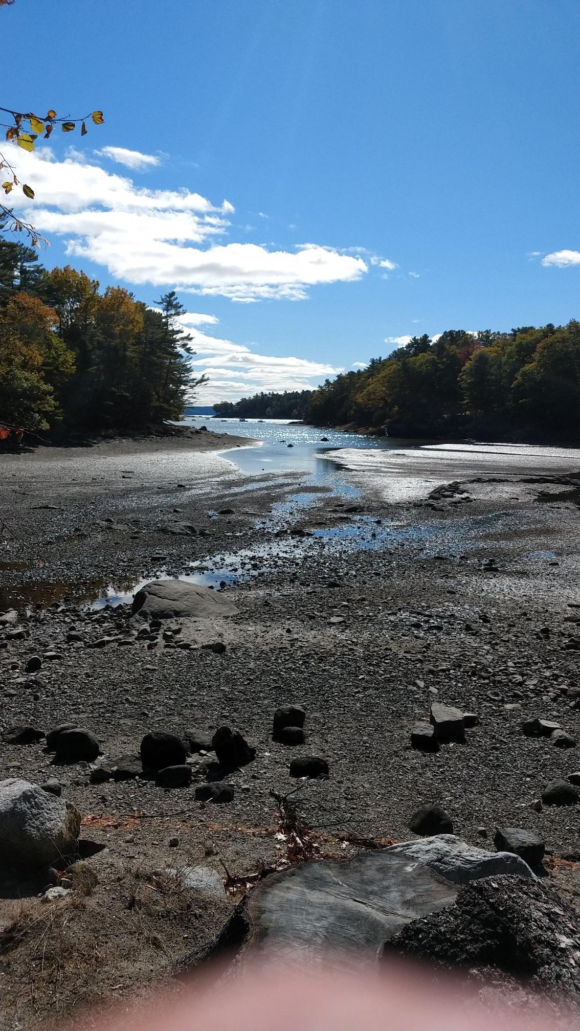 Wide riverbed at low tide, surrounded by autumn trees under a blue sky.