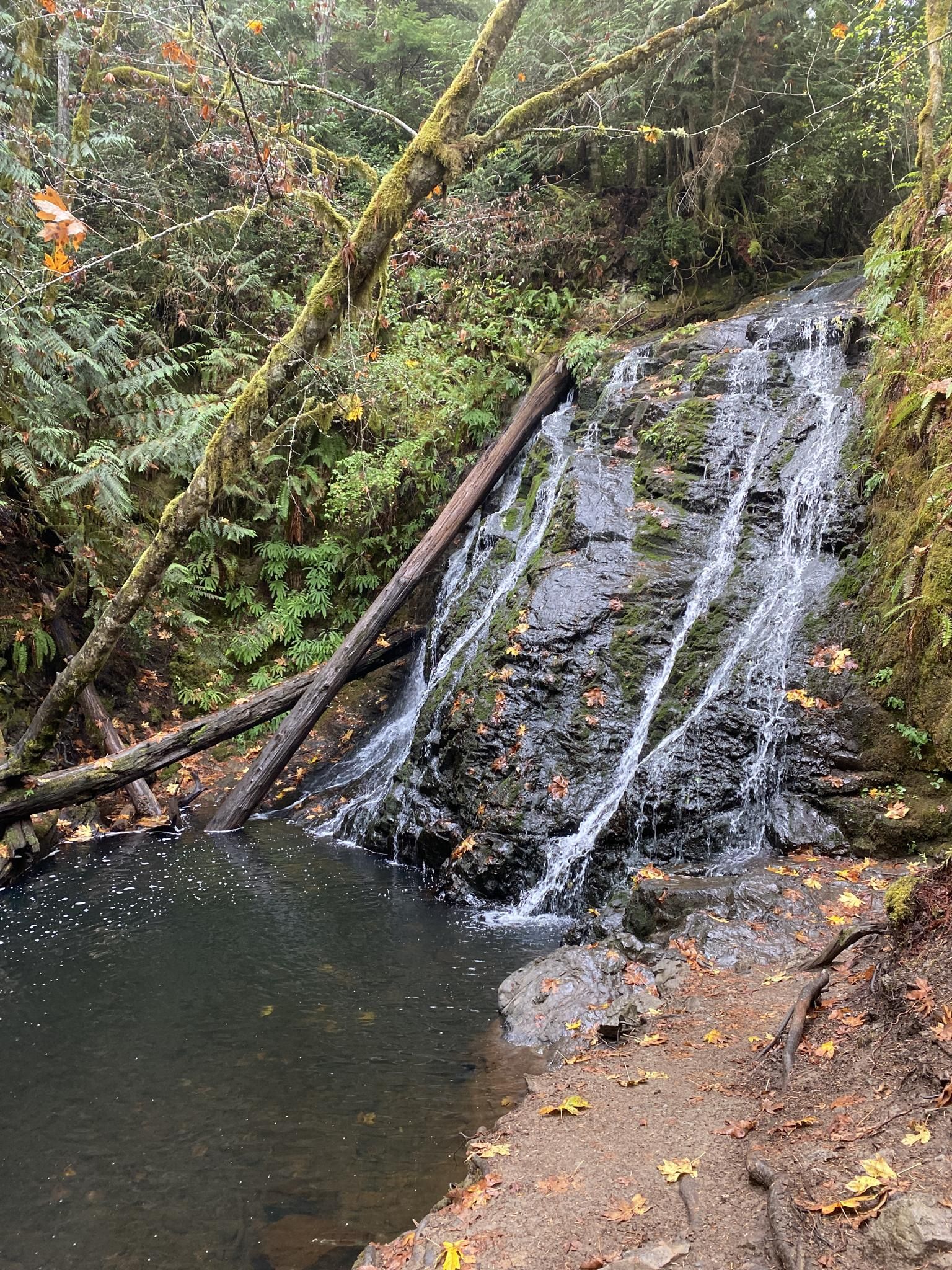 A waterfall cascades over mossy rocks into a dark pool, surrounded by forest. - Dickerson Falls