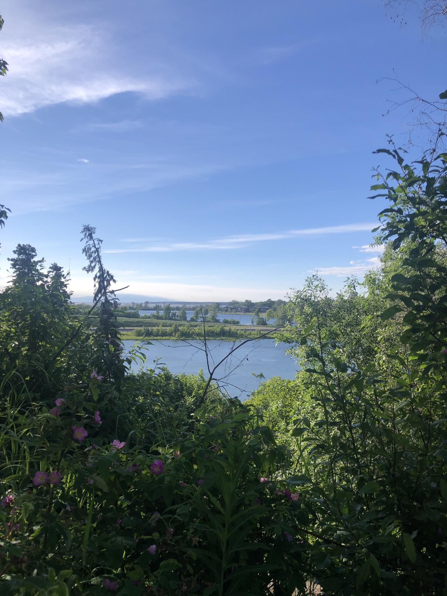 Lush green foliage frames a bright blue lake under a sunny sky.