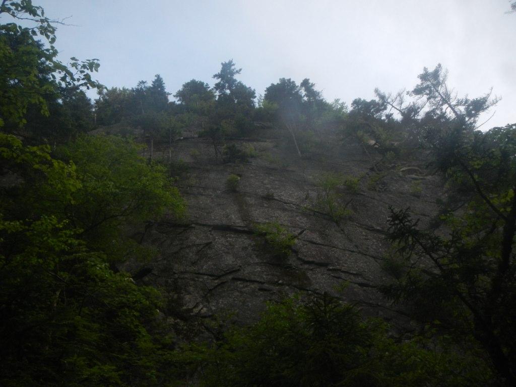 Dark, rocky cliff with dense green trees under a bright, cloudy sky.