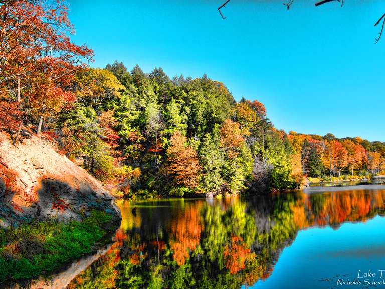 Buttermilk Falls to Lake Treman via Trail loop — Buttermilk Falls