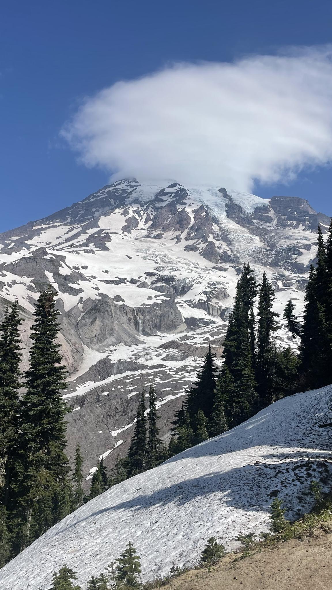 Majestic snow-capped mountain peak with a cloud cap, surrounded by evergreen trees.