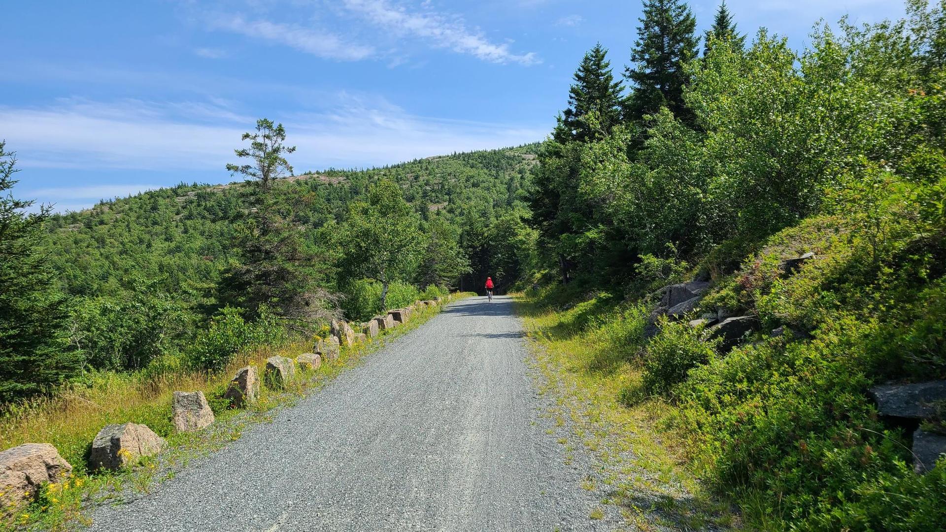 Gravel path through green forest with a distant person, bright day.