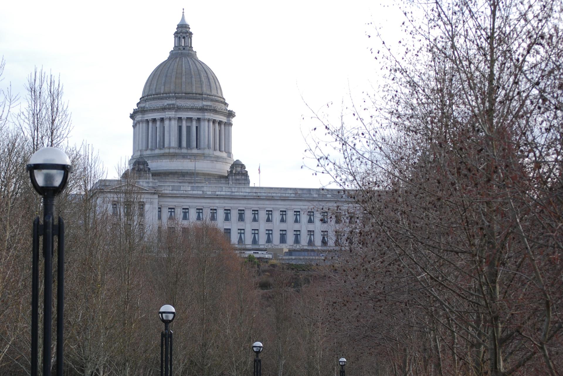 A large domed building stands behind bare trees and streetlights on an overcast day.