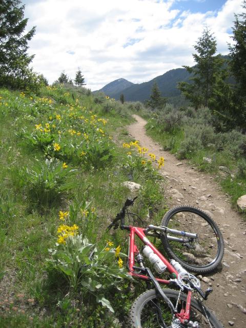 A red mountain bike on a dirt trail with wildflowers and distant mountains under a cloudy sky.