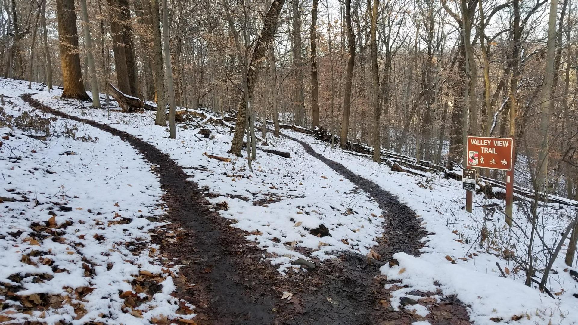 Two muddy trails fork in a snowy forest with bare trees and a sign.
