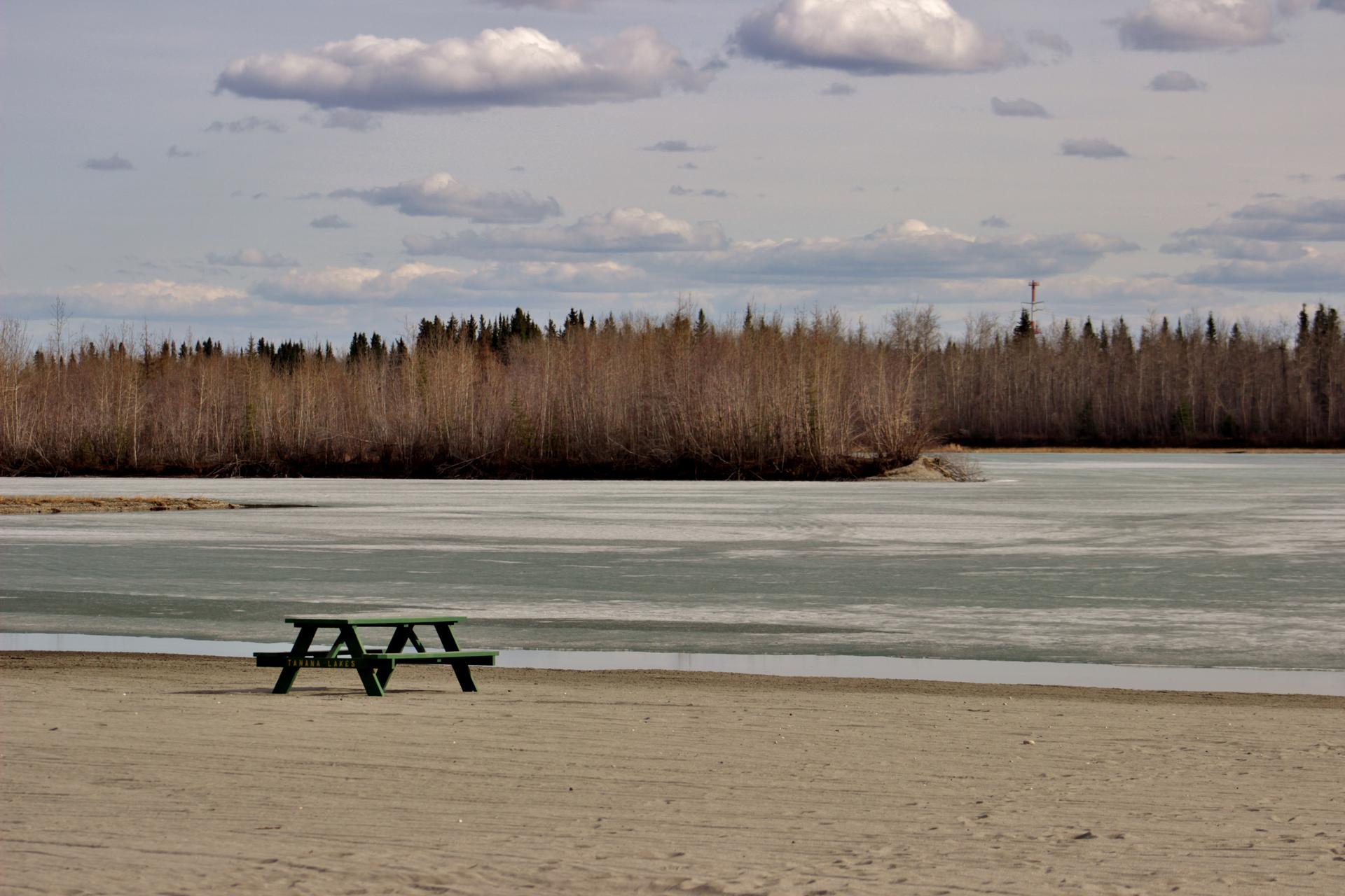 Green picnic table on sandy shore by icy water and bare trees under cloudy sky.