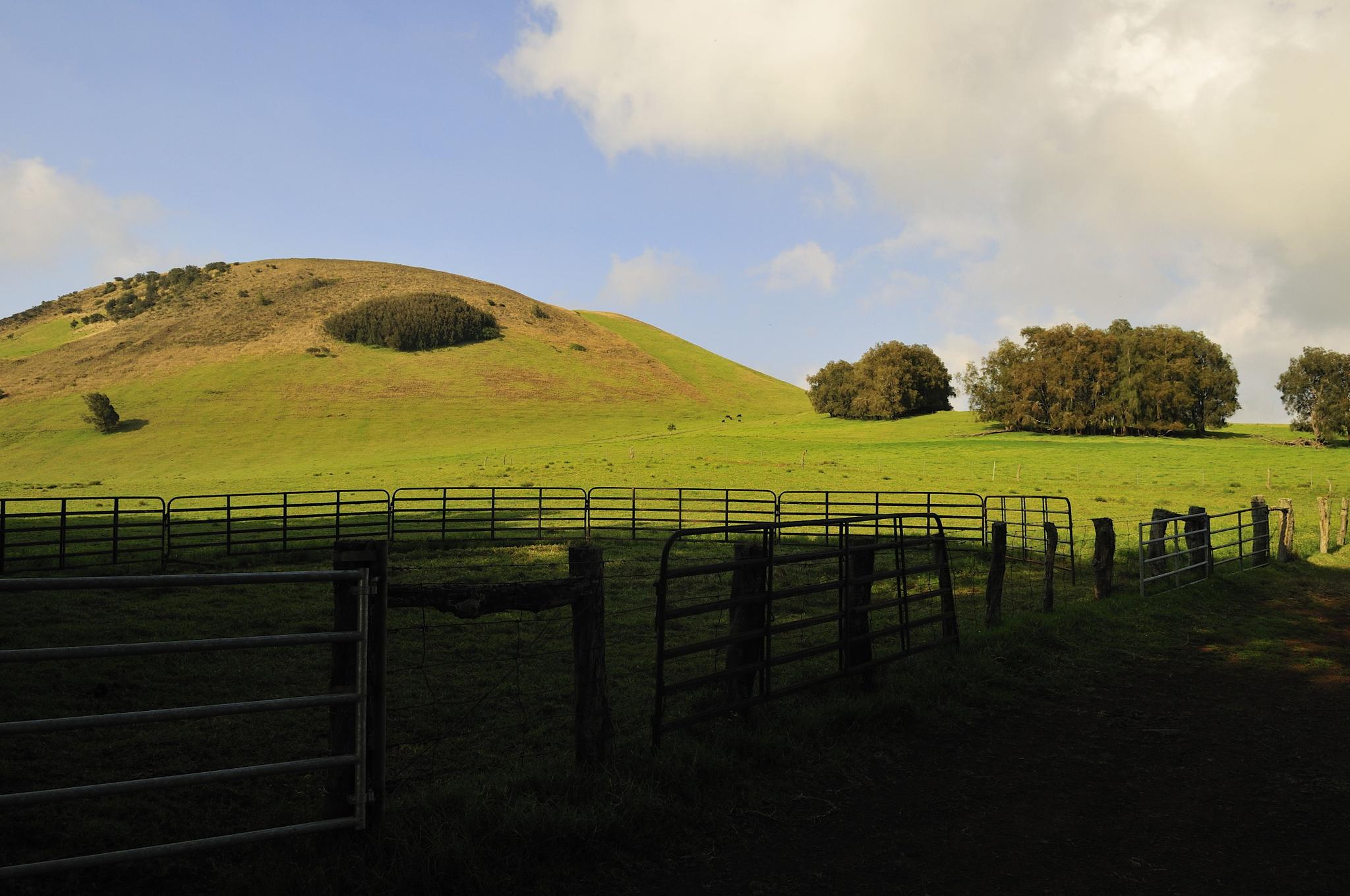 Sunny green hills with metal fences and distant trees under a cloudy sky.