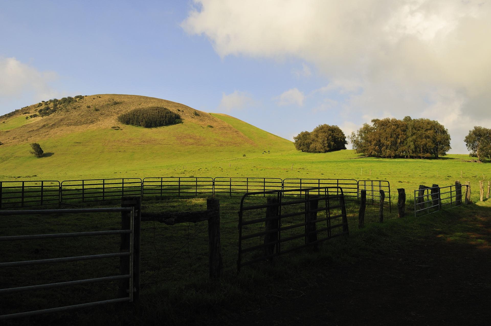 Sunny green hills with metal fences and distant trees under a cloudy sky.