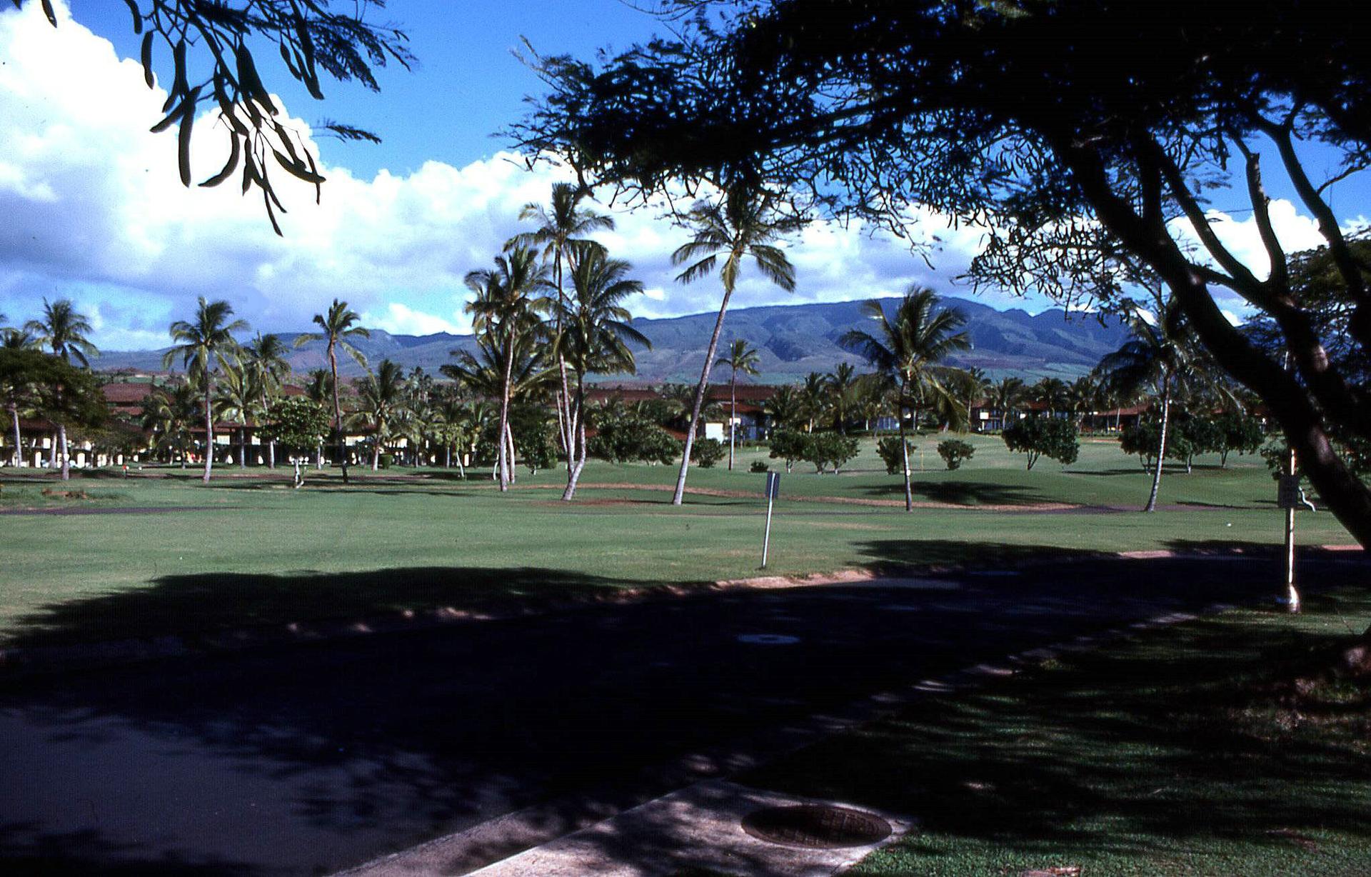 Sunny golf course with palm trees, distant mountains, and buildings under a cloudy sky.