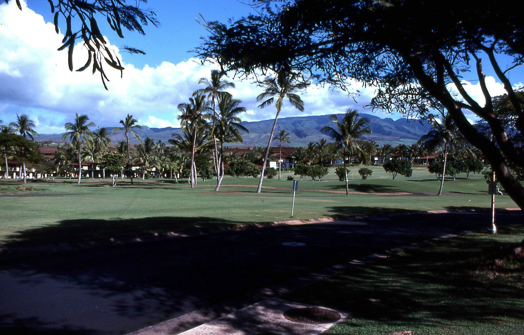 Sunny golf course with palm trees, distant mountains, and buildings under a cloudy sky. - Ka'anapali Landing loop run