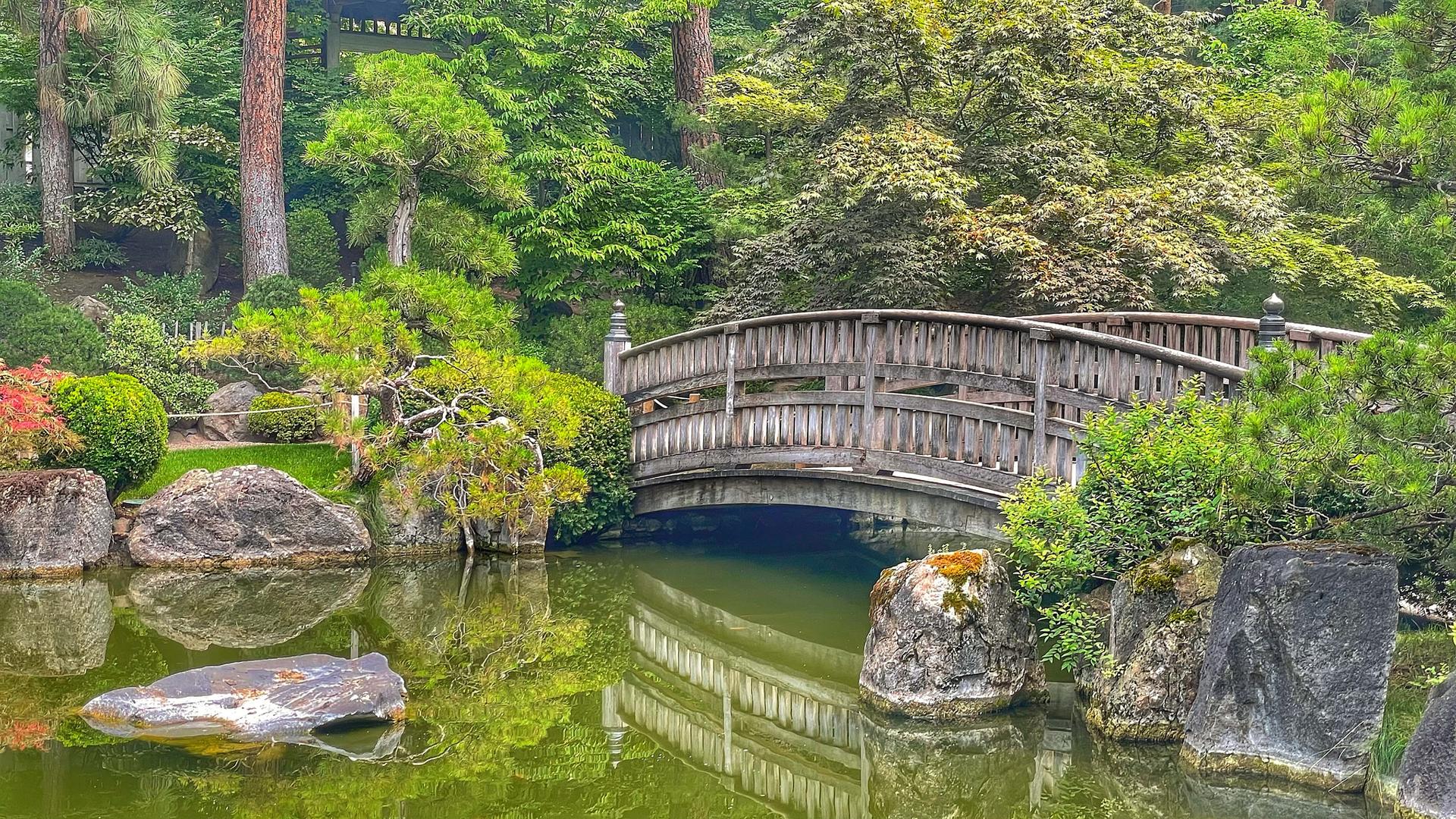 Wooden arched bridge spanning a green pond with lush foliage and reflections.