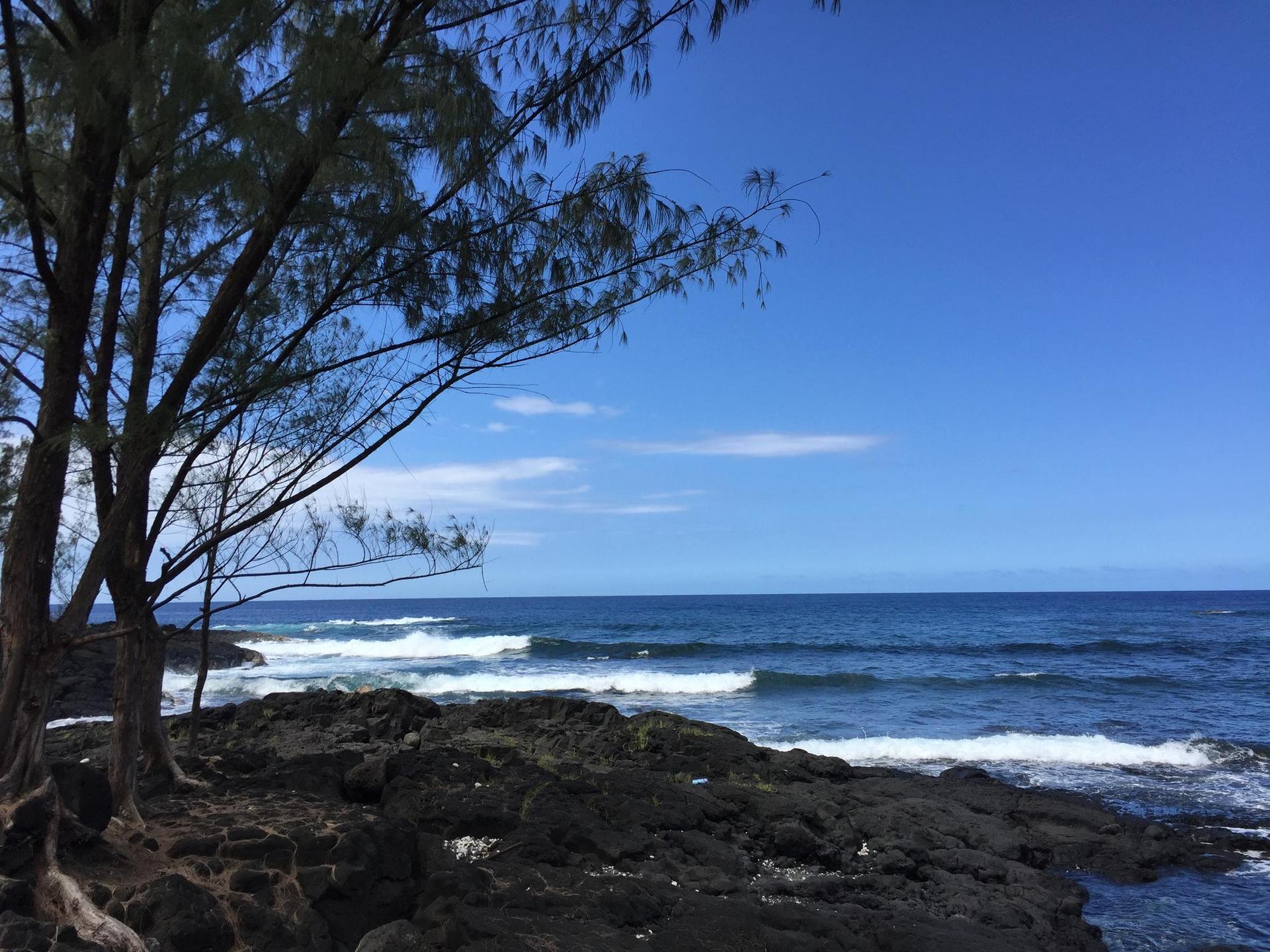 Bright daylight illuminates a rocky coastline with a tree and blue ocean waves.