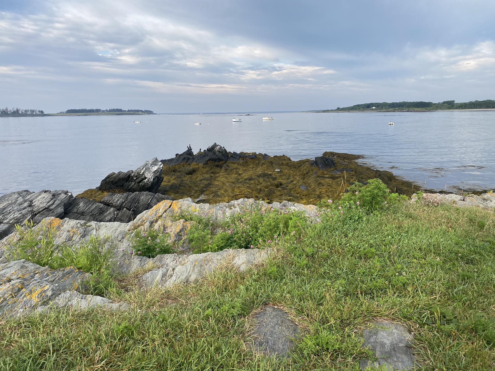 Overcast view of a rocky, grassy coastline with calm ocean and distant land.