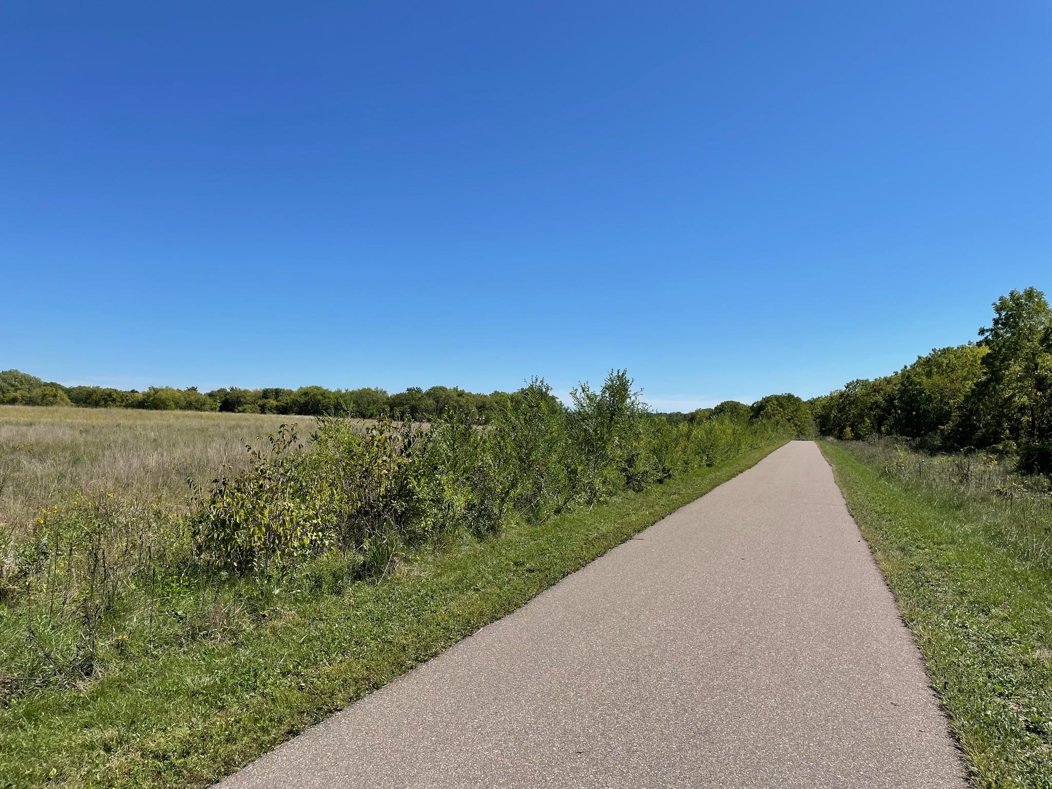 A paved path stretches through a sunny grassy field with distant trees.