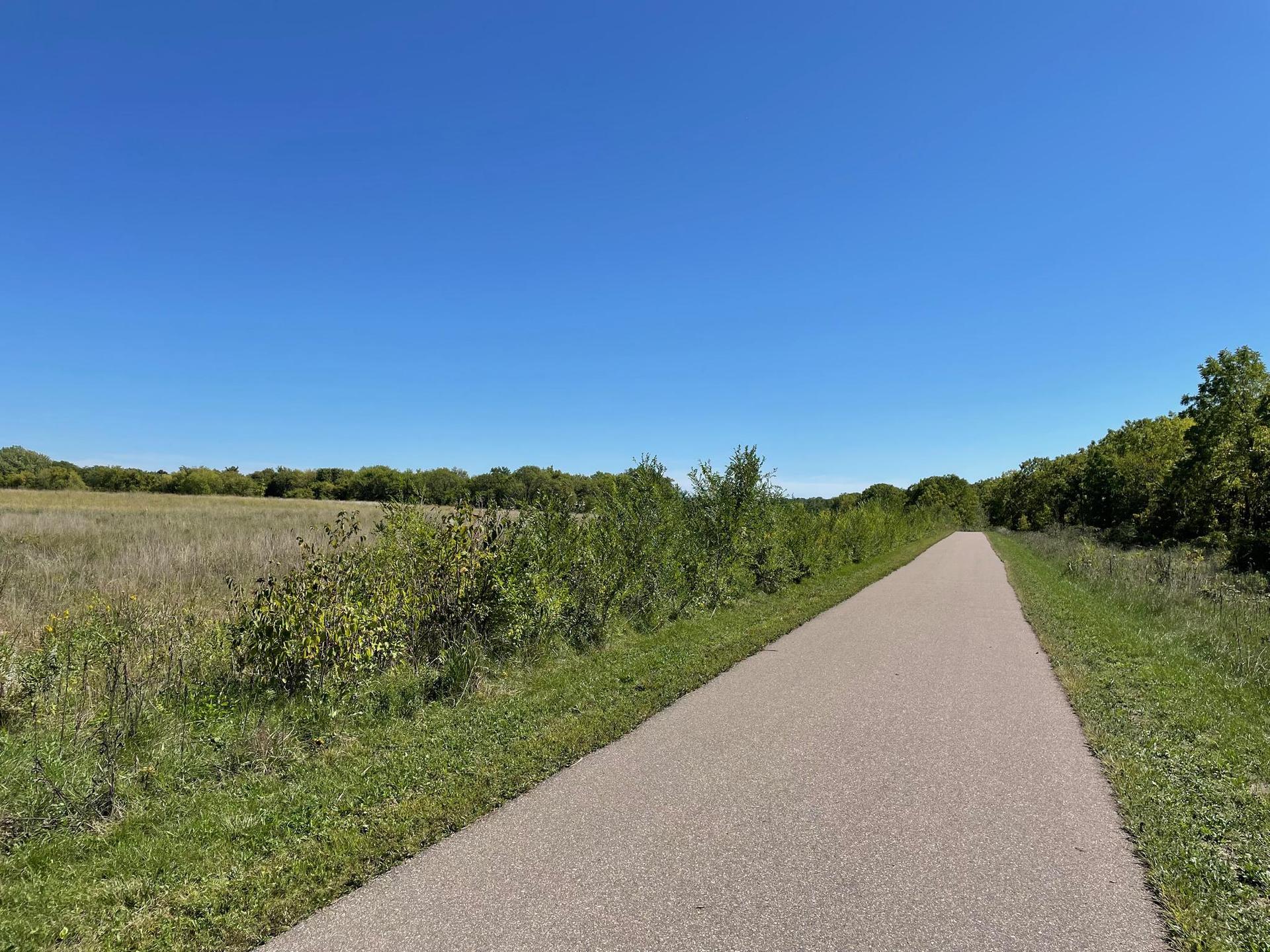 A paved path stretches through a sunny grassy field with distant trees.