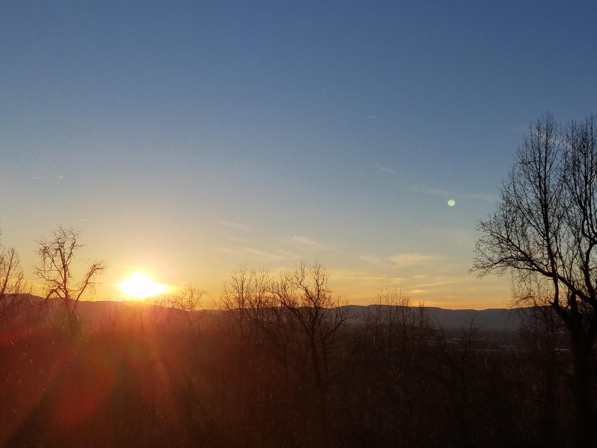 Vibrant sunset with lens flare over bare trees and rolling hills.