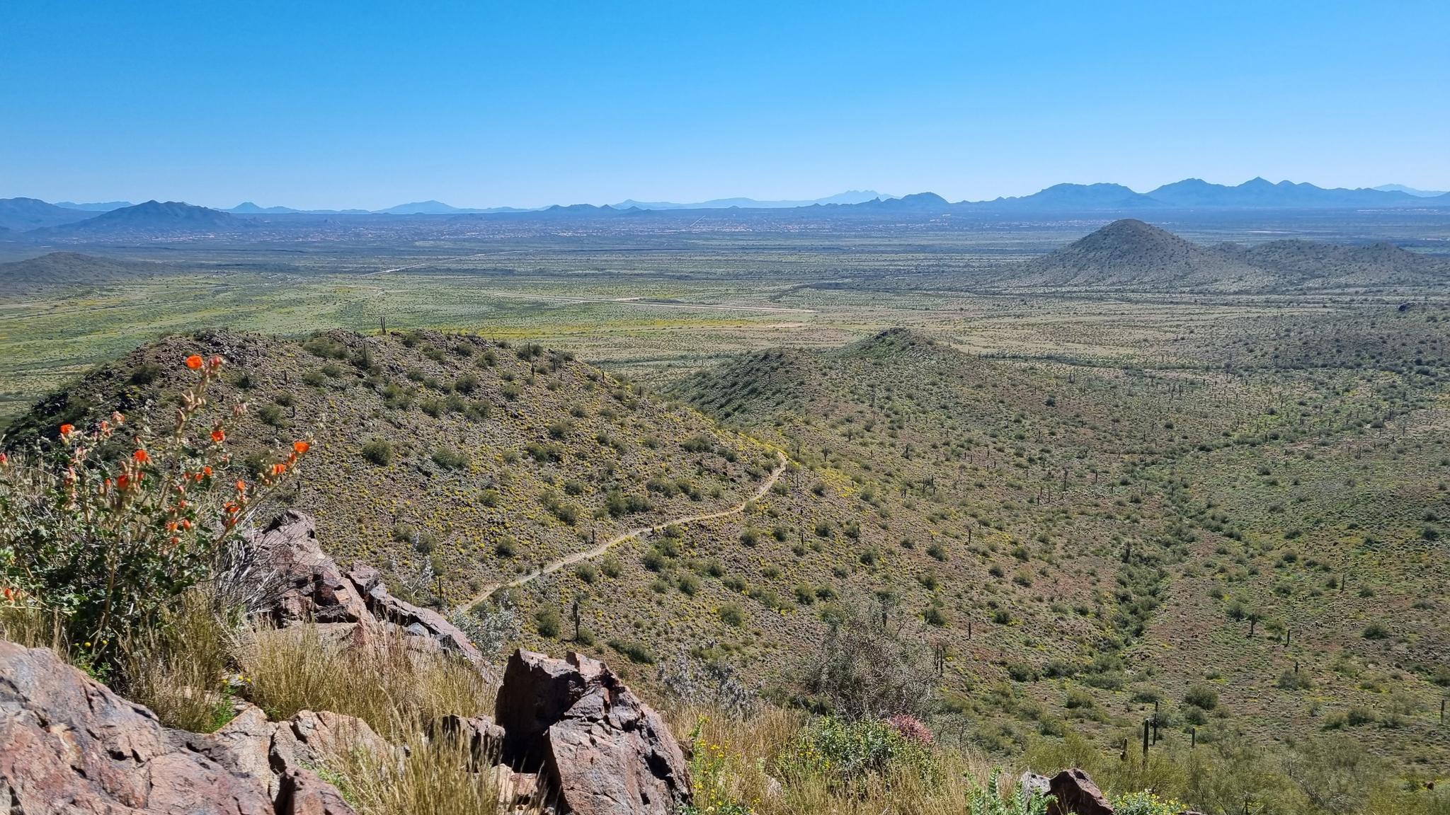 Green desert hills with a winding trail, distant mountains, under a clear sky.