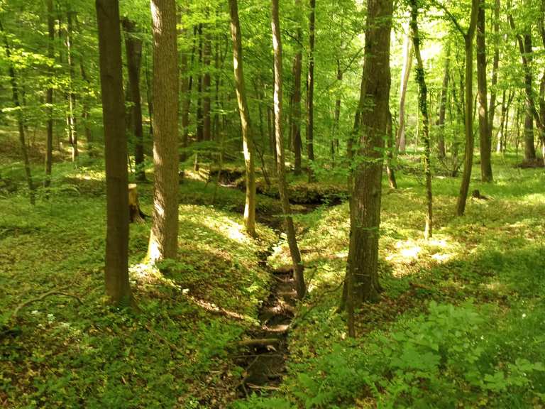 Das Tiefe Tal Wanderungen und Rundwege komoot