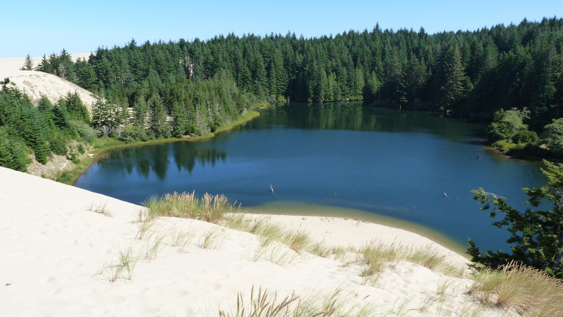 Blue lake nestled between sandy dunes and a dense green forest on a clear day.
