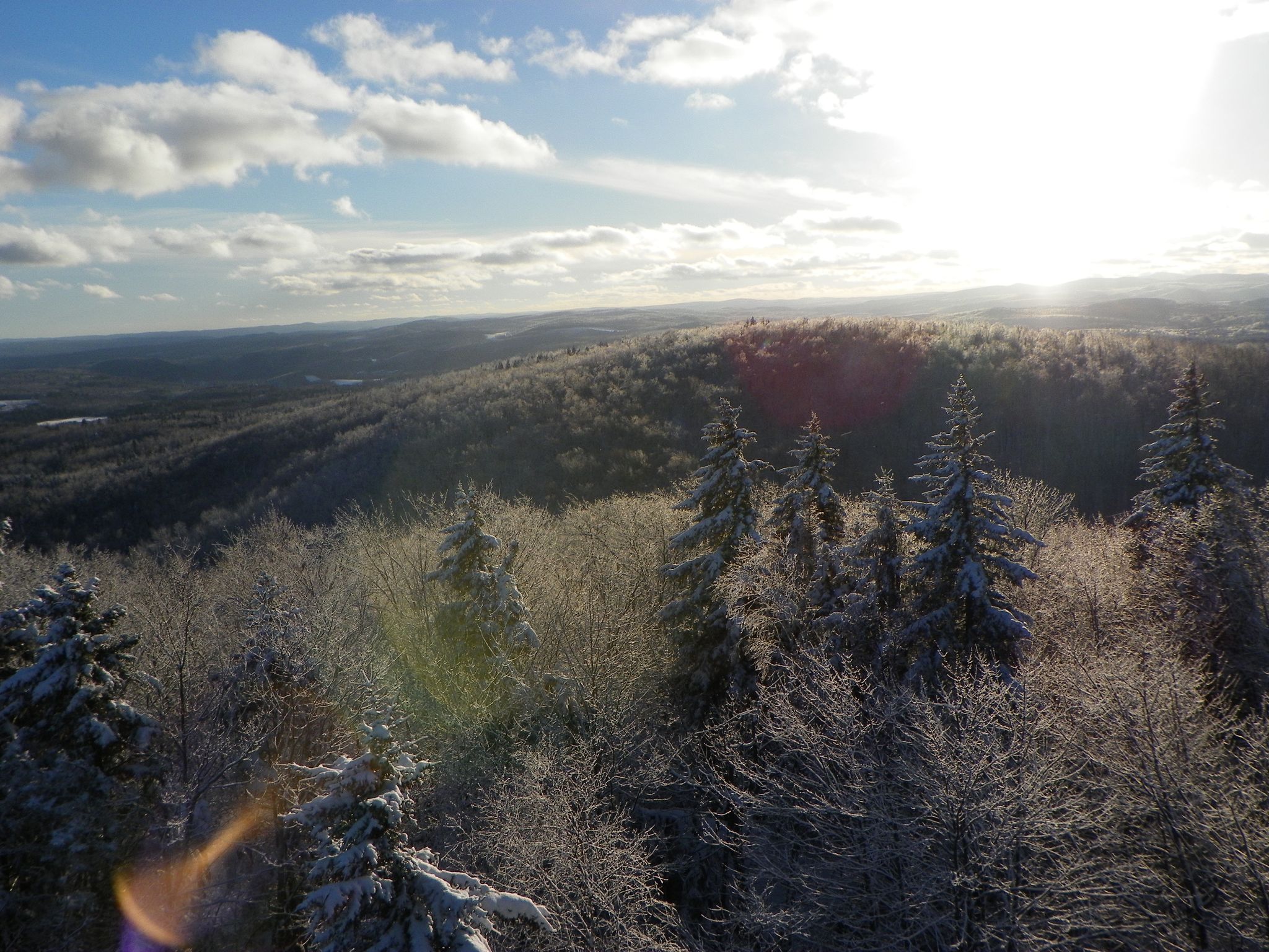 Bright sun illuminates a snowy forest landscape under a partly cloudy sky. - Mount Olga Trail