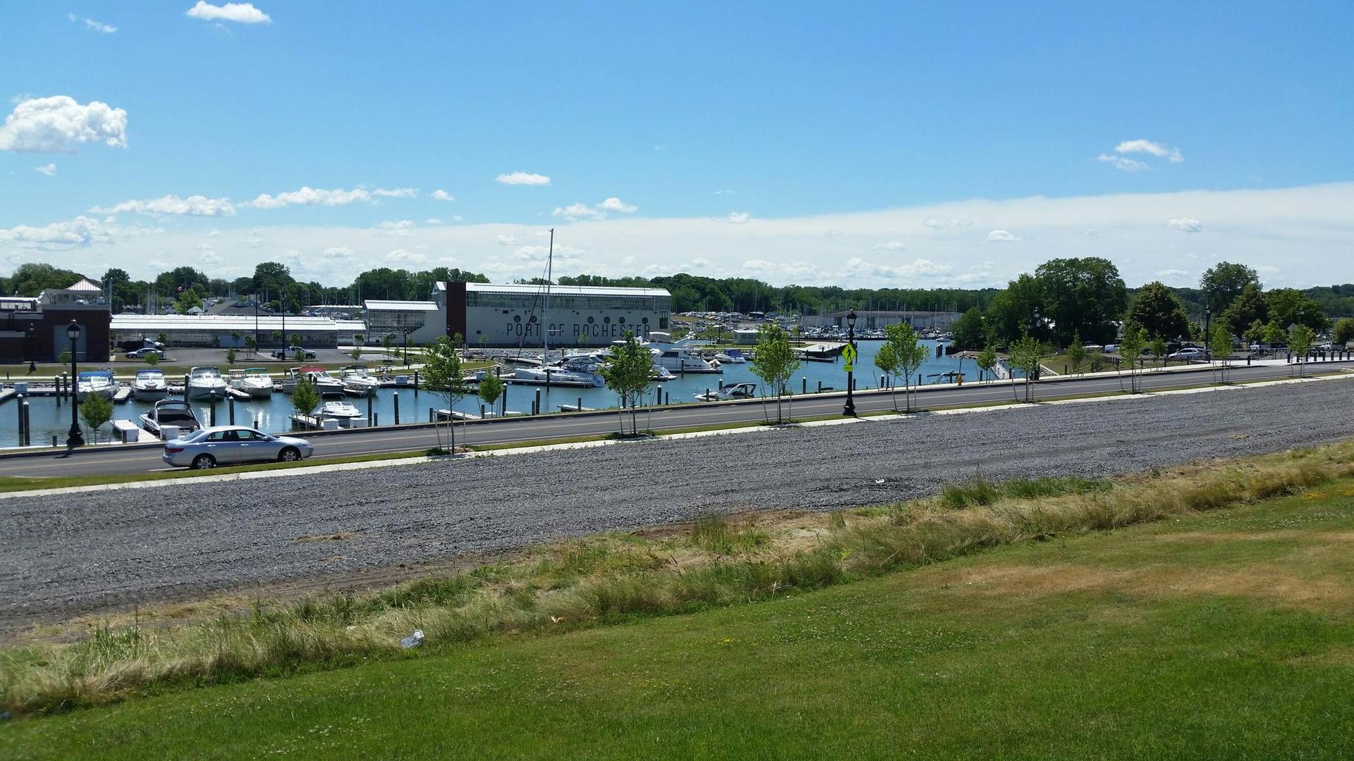 Sunny marina with many boats, a road, and green grass.