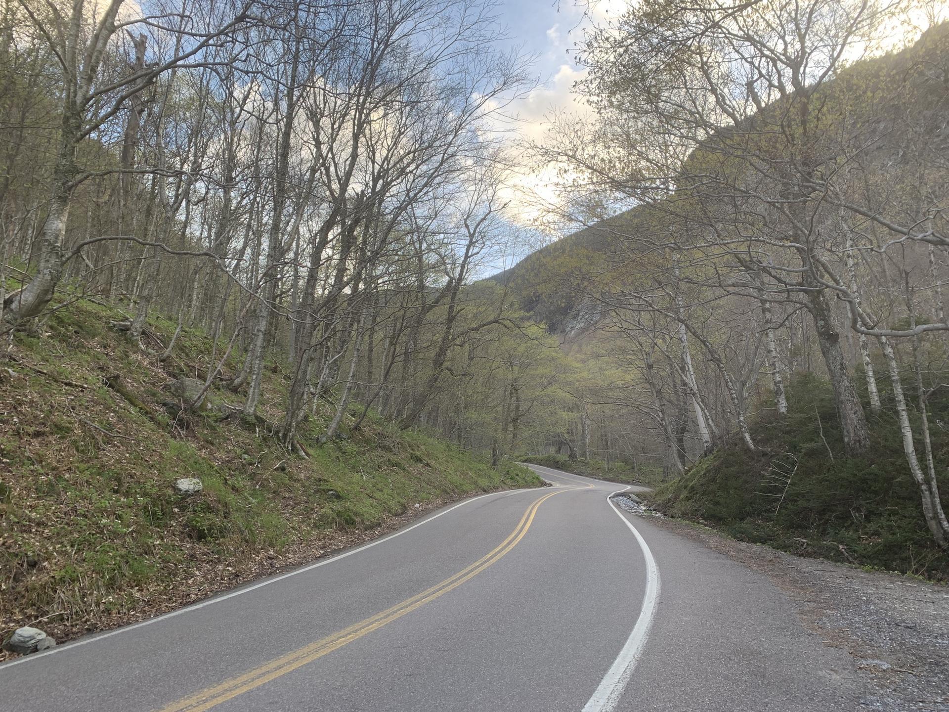 Winding paved road through a wooded hillside with bare trees under soft light.