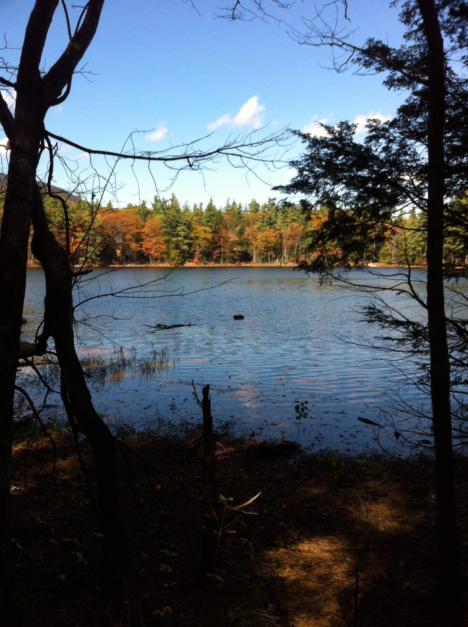 Blue lake surrounded by autumn trees, framed by dark foreground branches.