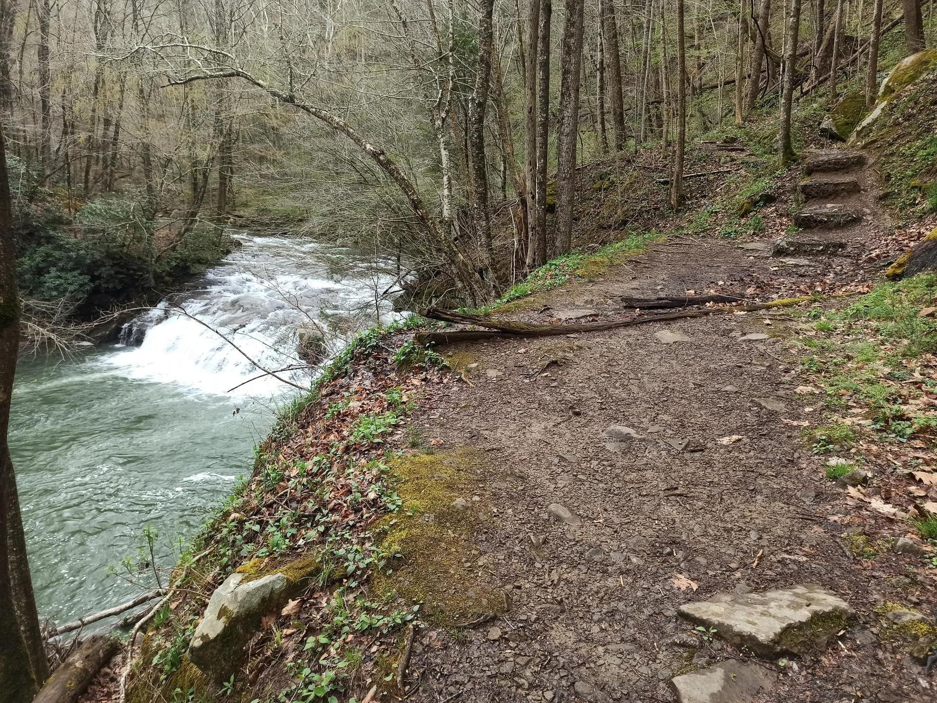 Dirt path with stone steps beside a rushing river in a winter forest.