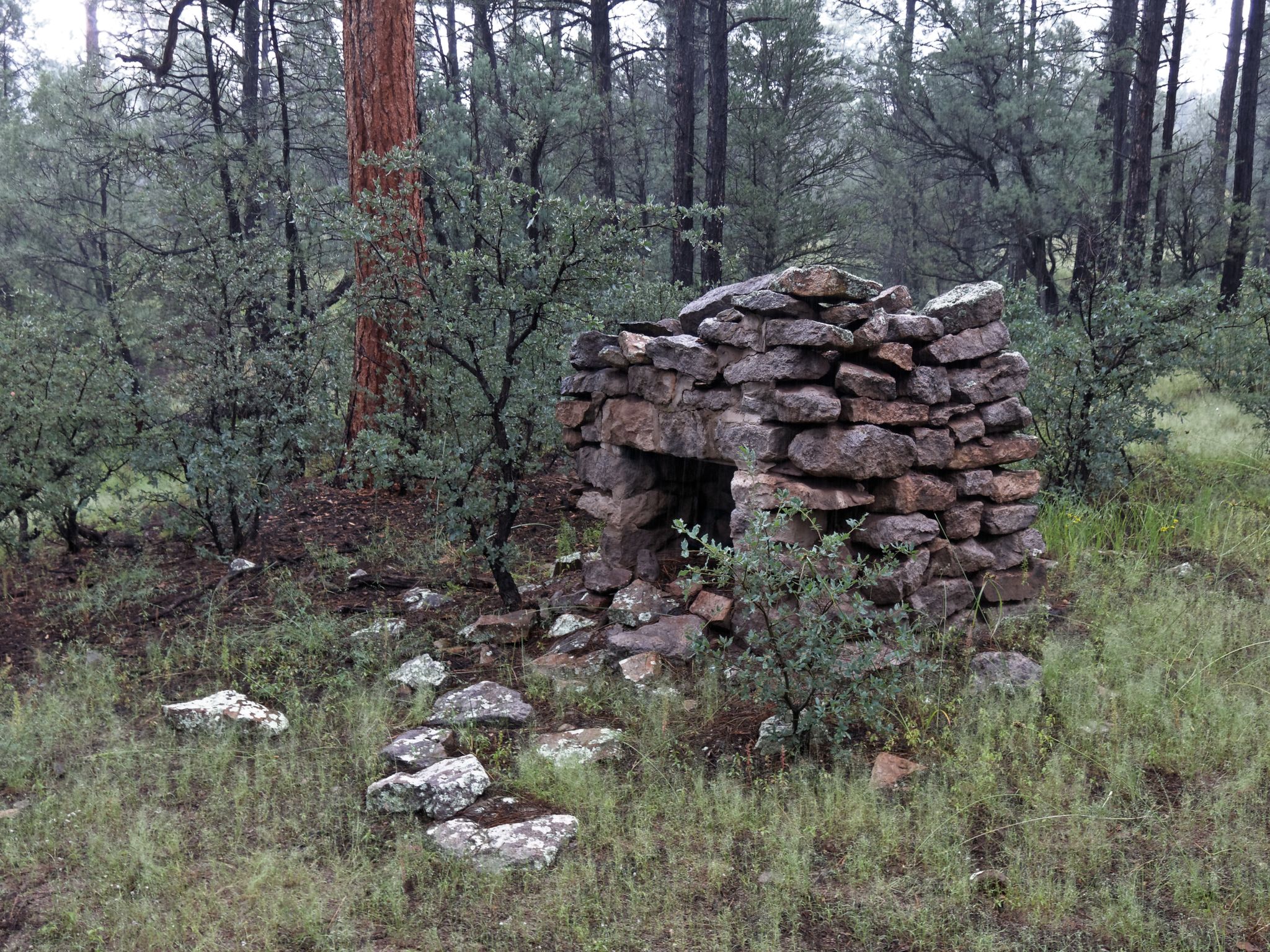 Small stone structure in a dense, green forest under overcast skies. - Pueblo Park Interpretive Loop Trail