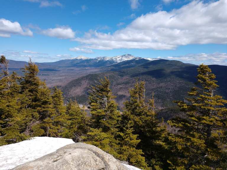 Mount Tom, Field, and Willey loop from the Mount Willard Trailhead ...