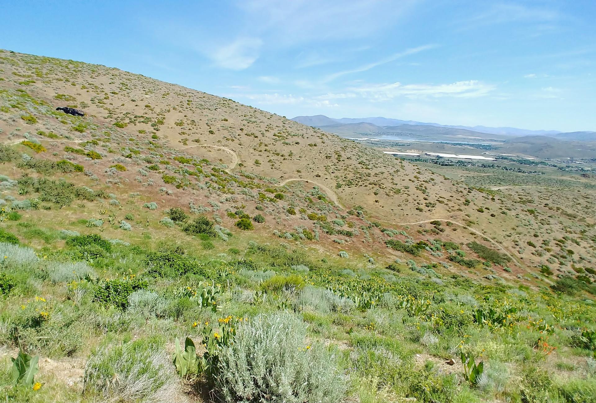 Multiple dirt trails crisscross a vast, sunny, green hillside overlooking a valley.