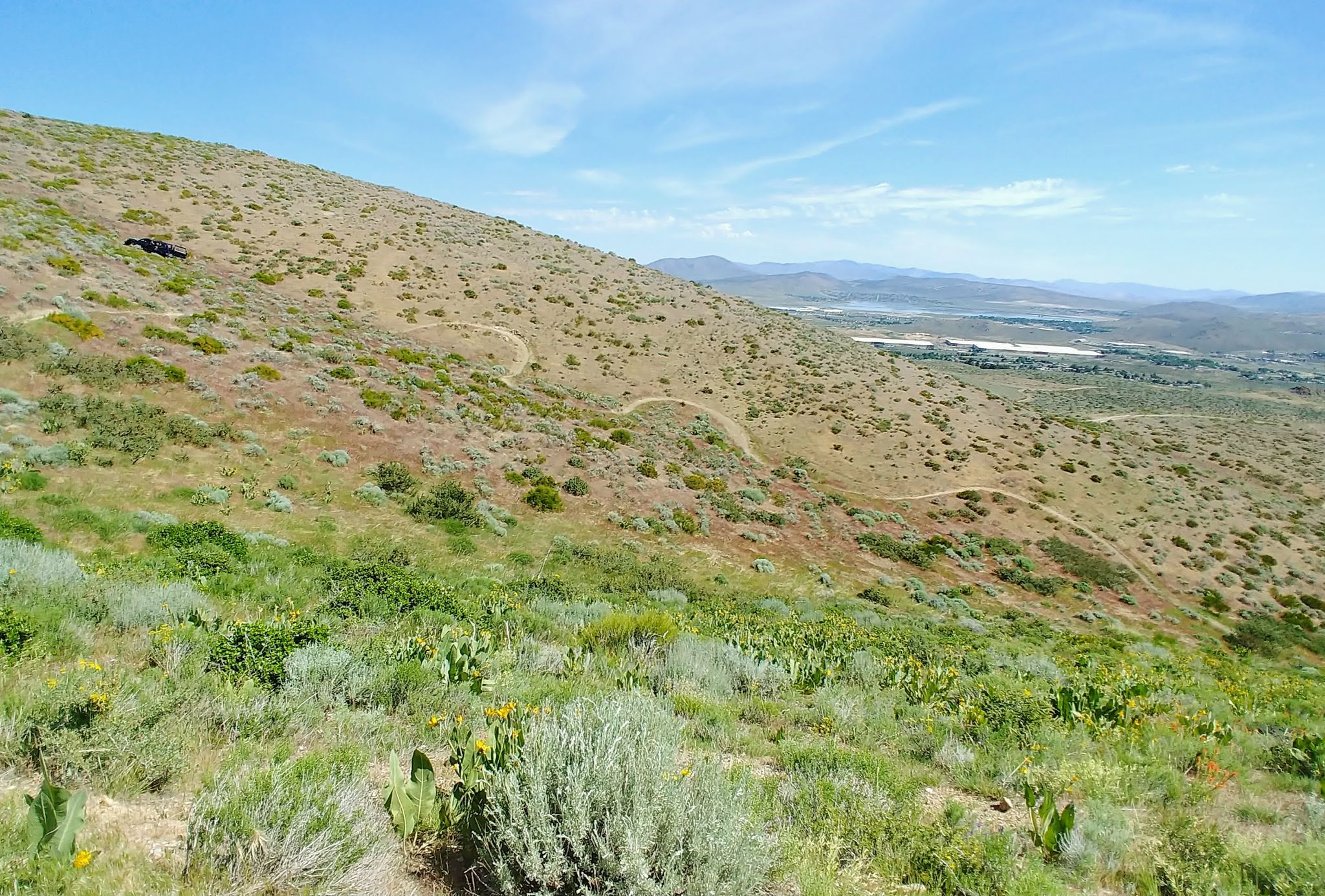Multiple dirt trails crisscross a vast, sunny, green hillside overlooking a valley. - Total Recall and Stagecoach Trail Loop