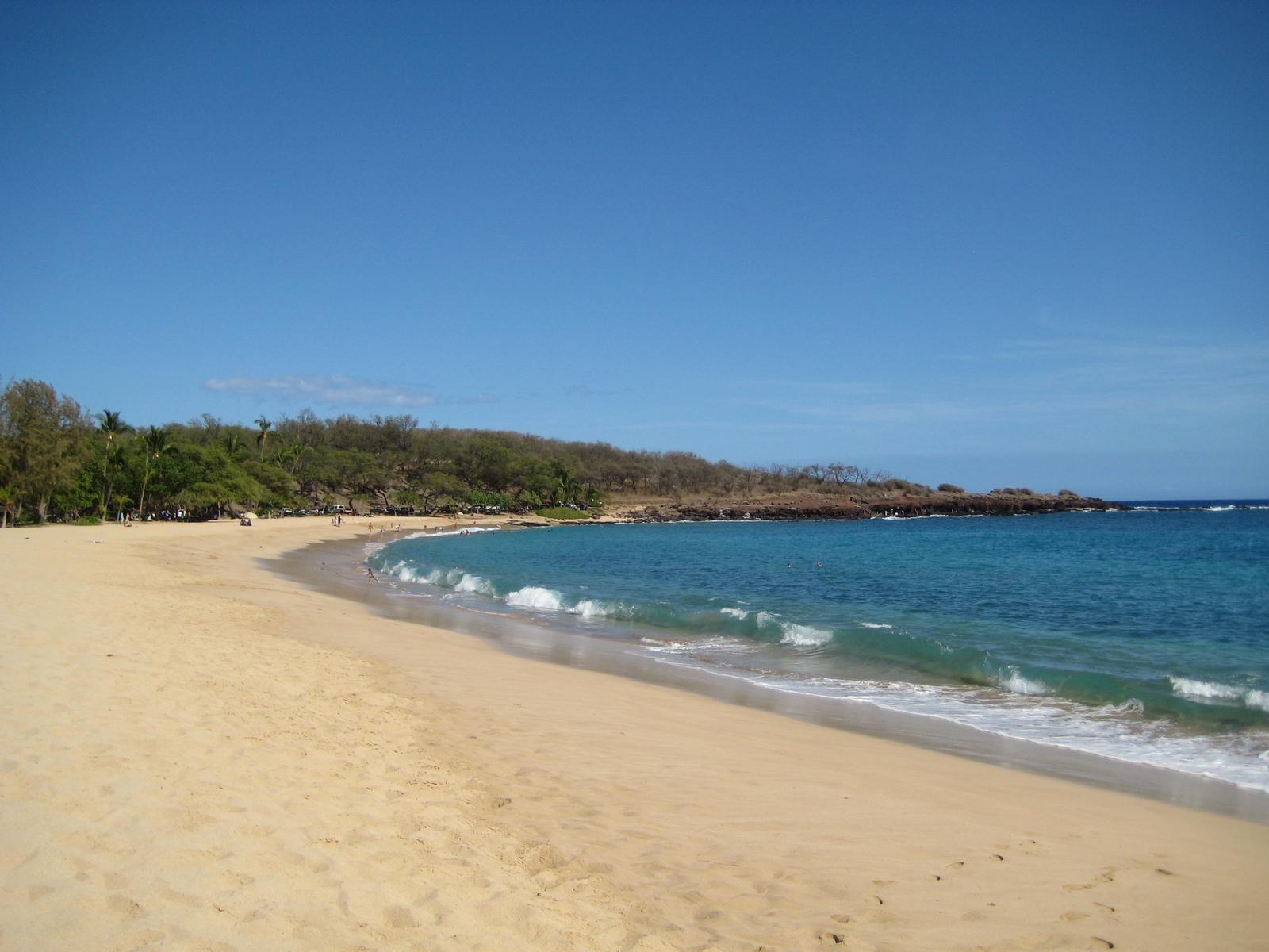 Sunny wide sandy beach with blue ocean waves and a green headland.