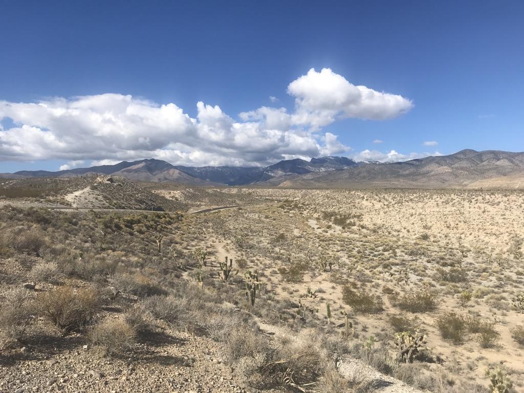 Expansive desert with cacti and distant mountains under a bright, cloudy sky.
